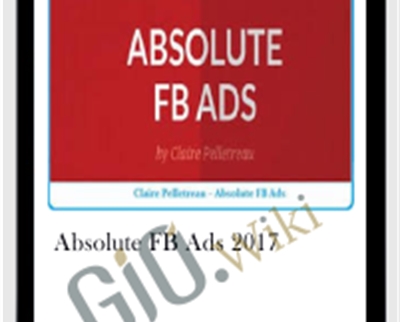 Absolute FB Ads 2017 - Claire Pelletreau