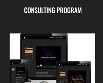 Consulting Program