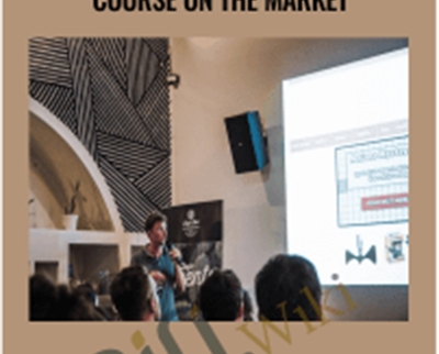 Google Shopping Success Course On The Market – Dennis Moons
