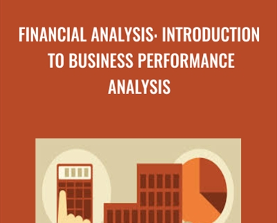 Financial Analysis: Introduction to Business Performance Analysis - Rudolph Rosenberg