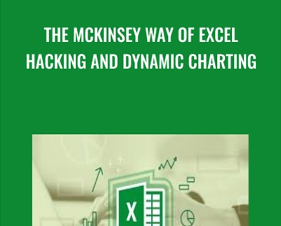 The McKinsey Way Of Excel Hacking and Dynamic Charting - Sandor Kiss & Matthias Bellmann