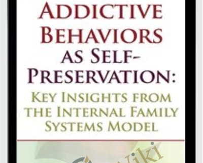 Addictive Behaviors as Self-Preservation: Key Insights from the Internal Family Systems Model - Richard Schwartz