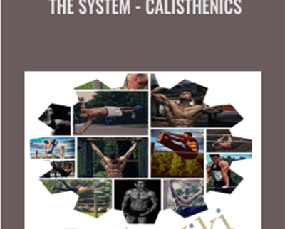 The System - Calisthenics - Bar Brothers