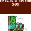 Now Healing 101 E28093 Home Study Course 2 - eSys[GroupBuy]