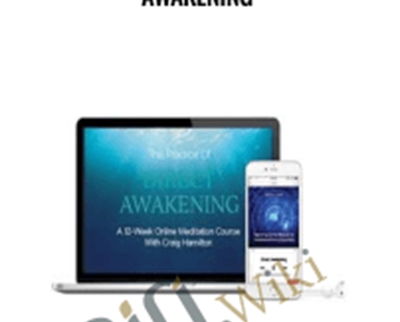 The Practice Of Direct Awakening - Craig Hamilton