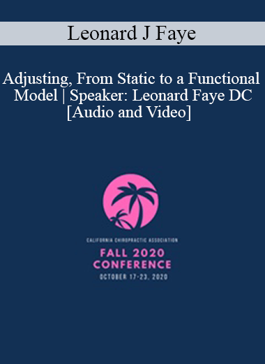Audio and Video Leonard J Faye Adjusting From Static to a Functional Model Speaker Leonard Faye DC - eSys[GroupBuy]