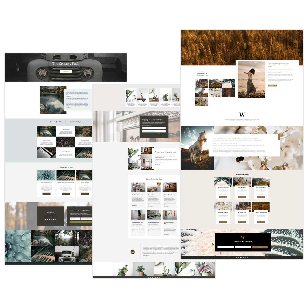 3 branded websites - eSys[GroupBuy]